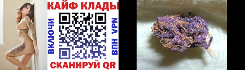 Где купить наркотики Дальнереченск KRAKEN ССЫЛКА  Кокаин  Меф  ГАШ  APVP 