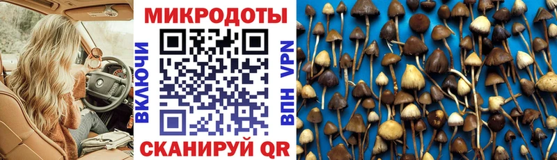 Галлюциногенные грибы MAGIC MUSHROOMS  Дальнереченск 