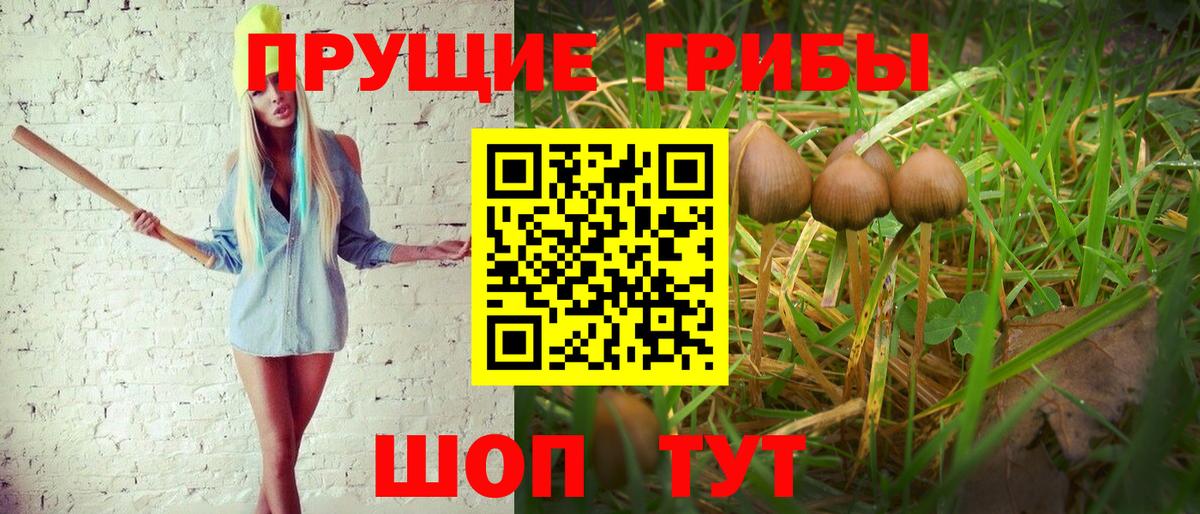 Галлюциногенные грибы MAGIC MUSHROOMS  Вход с VPN  Дальнереченск 